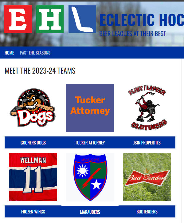 Eclectic Hockey League